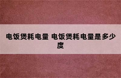 电饭煲耗电量 电饭煲耗电量是多少度